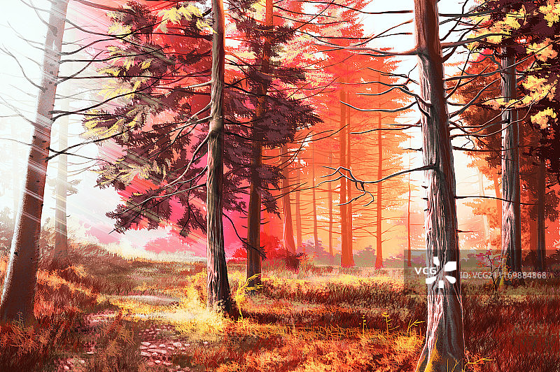 24节气 秋分图片素材