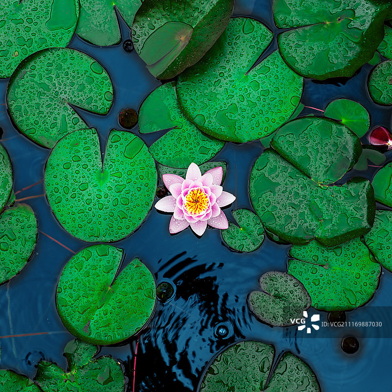 水上自然景观图片素材