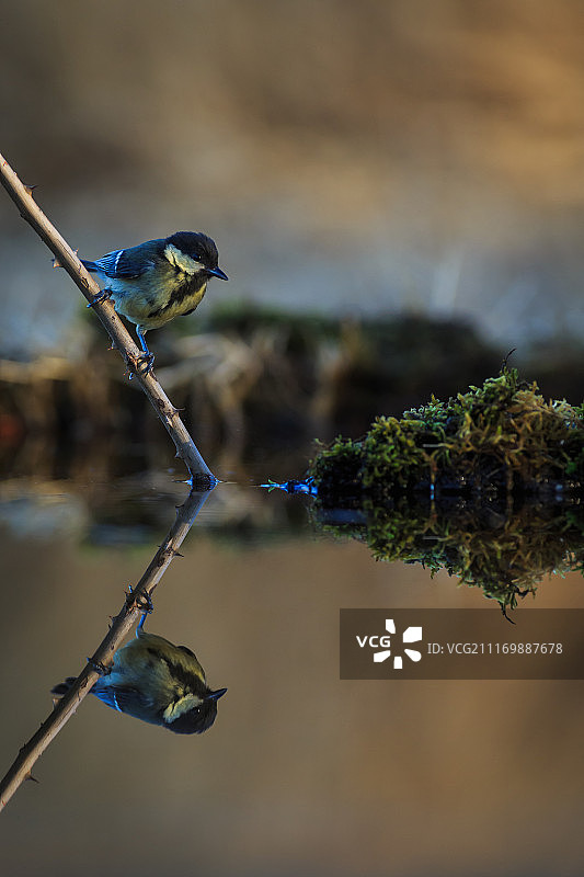 你是谁？图片素材