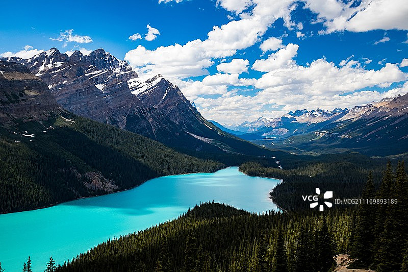 艾伯塔班夫佩托湖图片素材