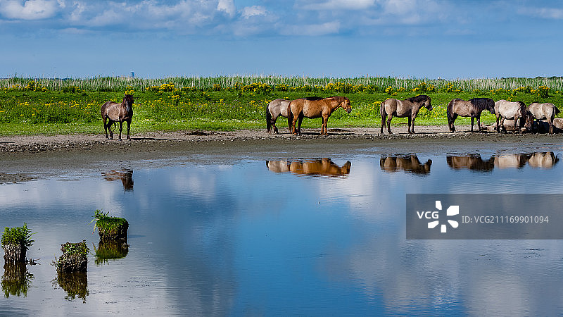 奥斯特瓦德斯普拉森图片素材