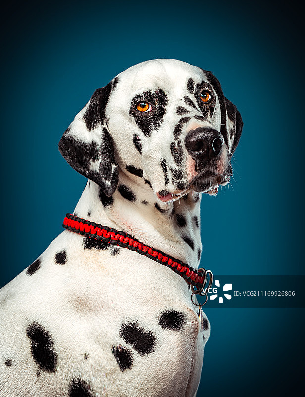 丹尼斯图片素材