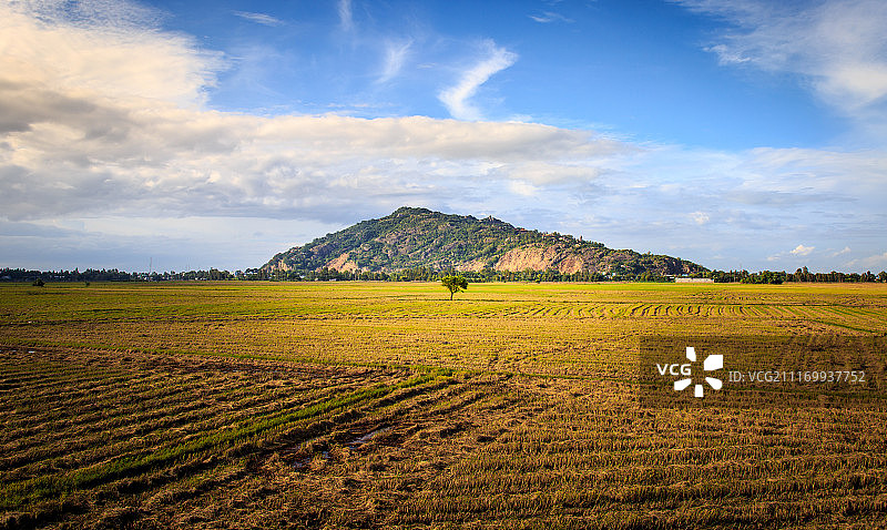 安江农场图片素材