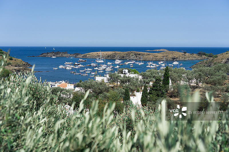 利加特港图片素材