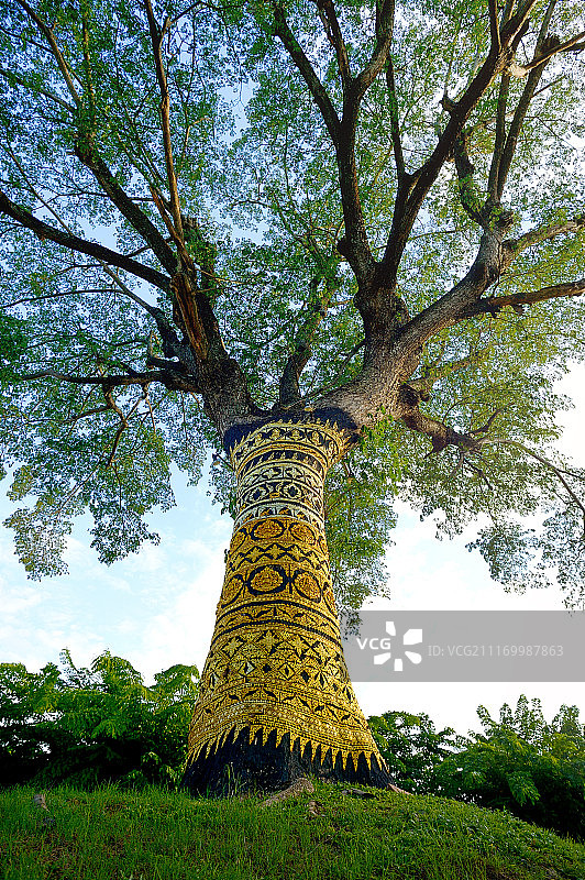 金色大树图片素材