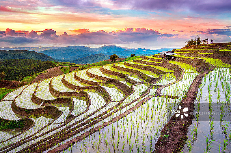 泰国清迈班帕邦翩的梯田图片素材