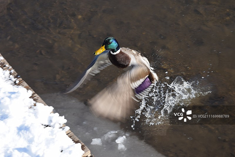 摄影图像图片素材