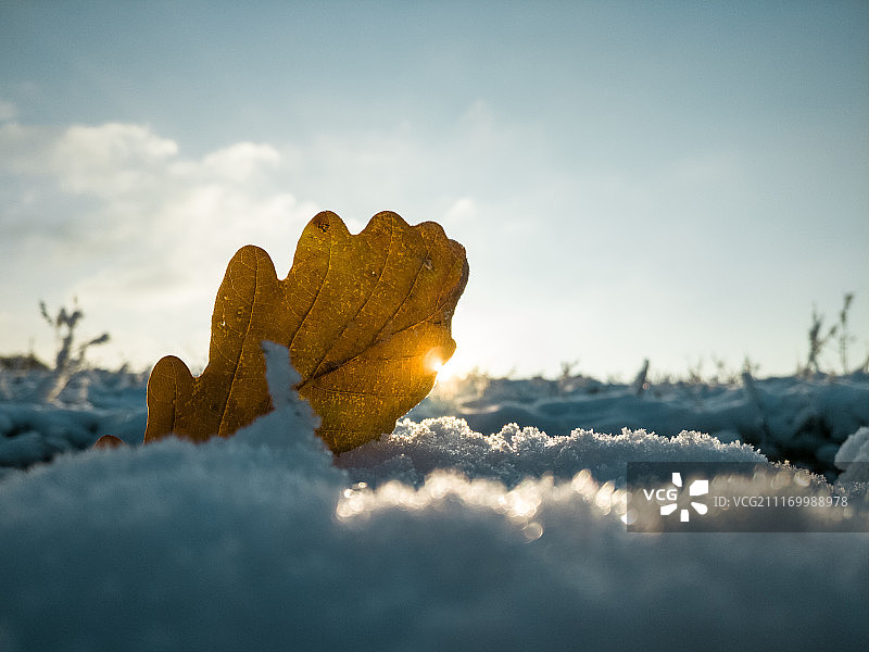 编号48189图片素材