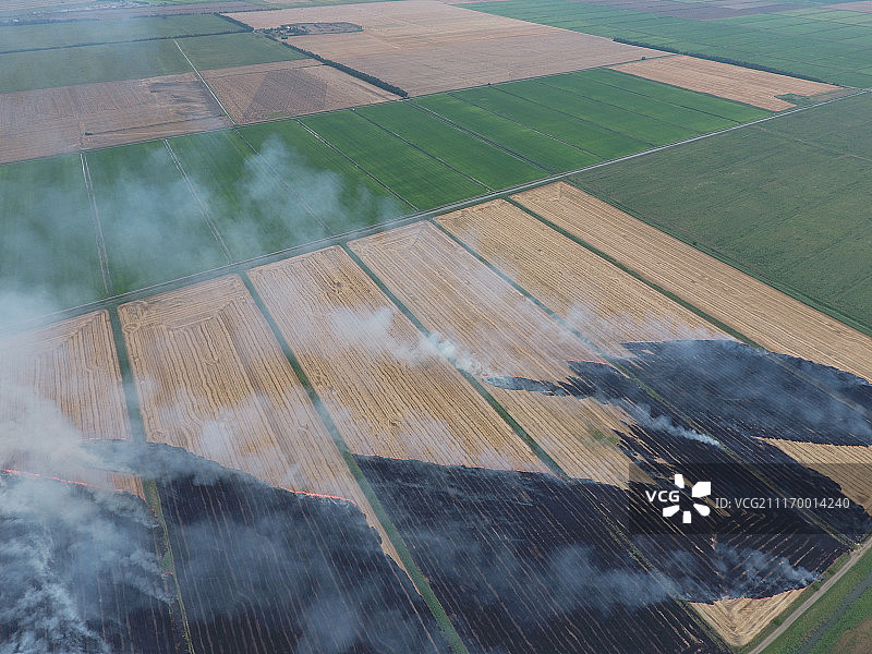 收割后麦田里燃烧的稻草图片素材