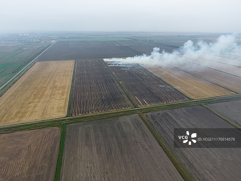 麦收后田野里燃烧的稻草图片素材