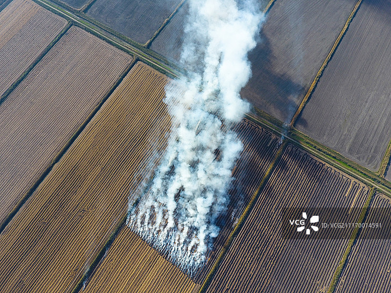 田野里燃烧的稻草烟雾图片素材