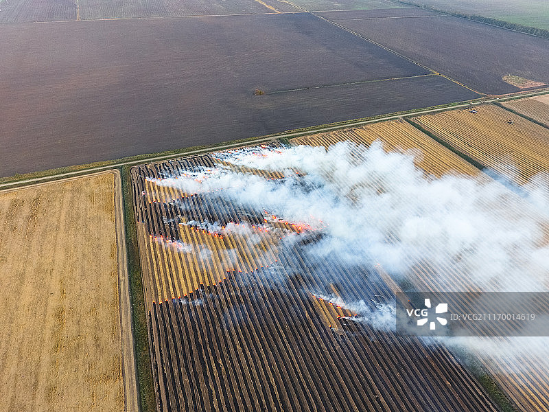麦收后田野里燃烧的稻草图片素材