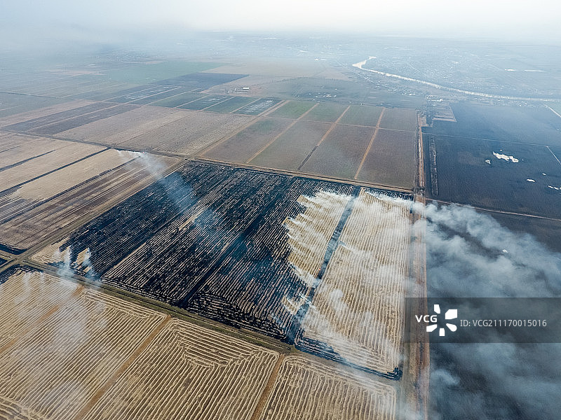 田野里燃烧的稻草图片素材