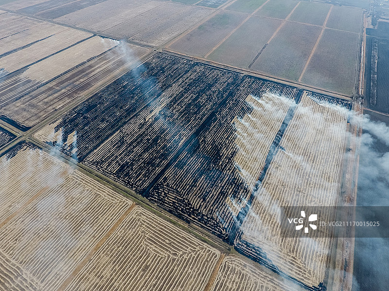 田野里燃烧的稻草图片素材