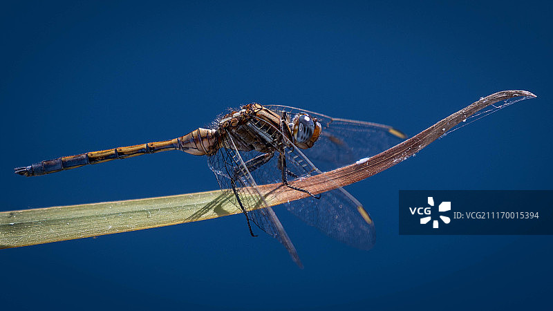 锋利的图片素材
