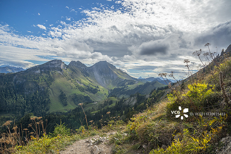 莫莱松山坡图片素材