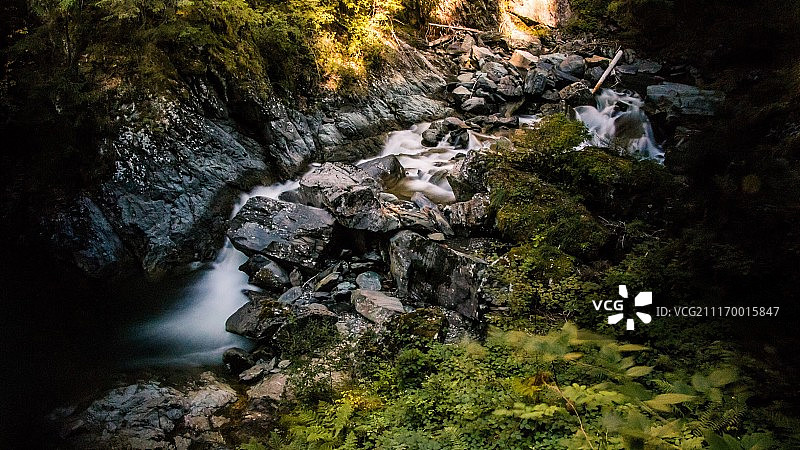 穿越森林图片素材