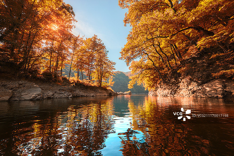 湖泊和阳光穿过树林图片素材
