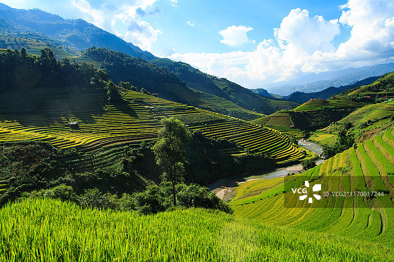 山谷梯田图片素材