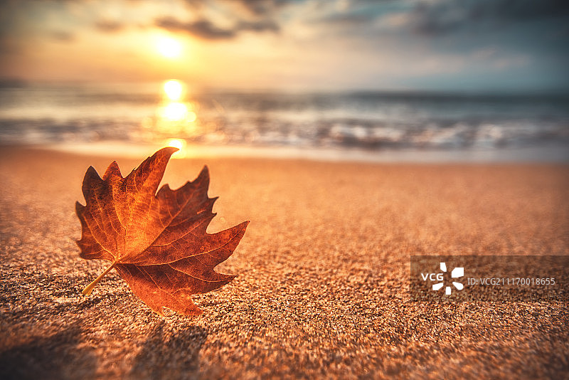 海上美丽的云景，日出景象图片素材