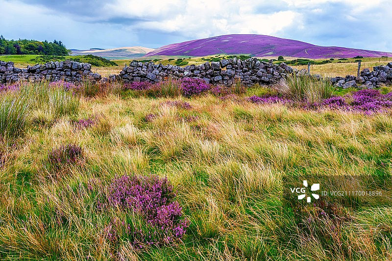 草地上的岩石围栏和鲜花景观图片素材