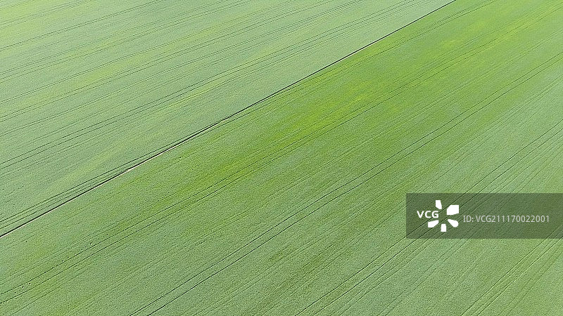 麦田纹理图片素材