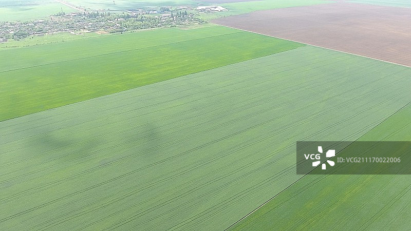 库班高处的田野风光：幼麦和耕地图片素材