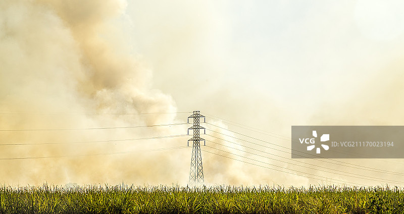 甘蔗种植园火灾图片素材