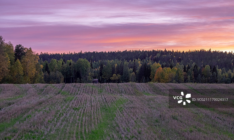 在回家的路上图片素材