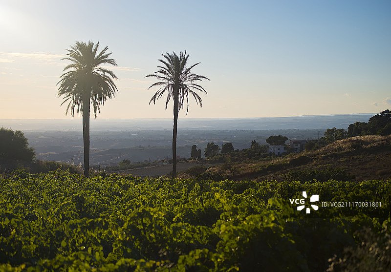 西西里岛夏卡图片素材
