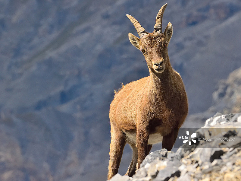 意大利圣安东尼奥图片素材