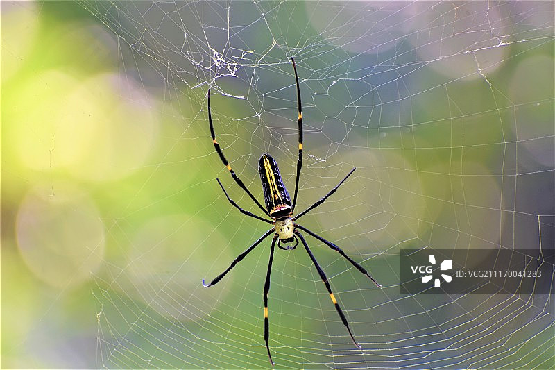 伟大的建筑师3图片素材