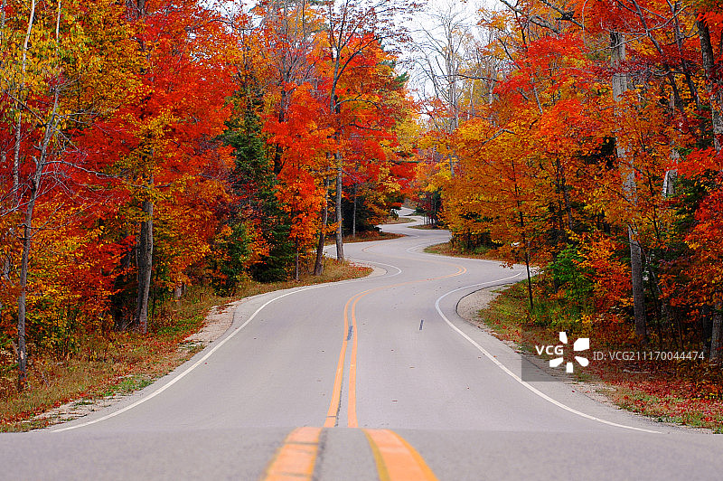 埃里森湾，多尔县的蜿蜒道路图片素材