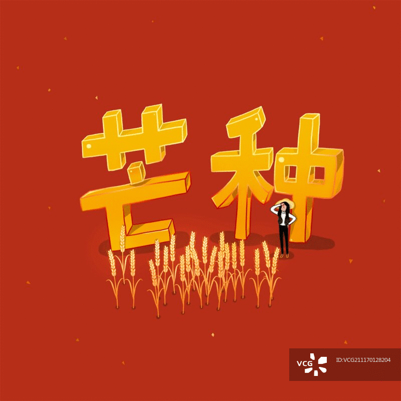 芒种图片素材