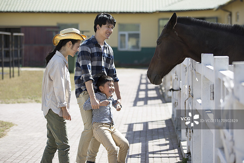 快乐一家人在马厩嬉戏打闹图片素材