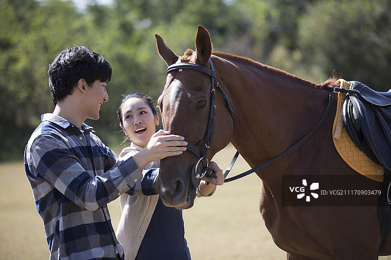 年轻情侣和马图片素材