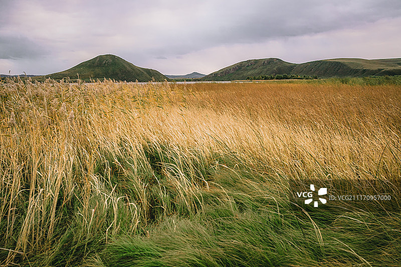 多伦湖的秋图片素材