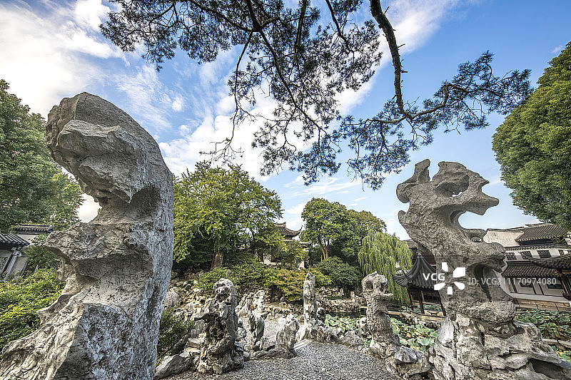 狮子林中的假山石图片素材