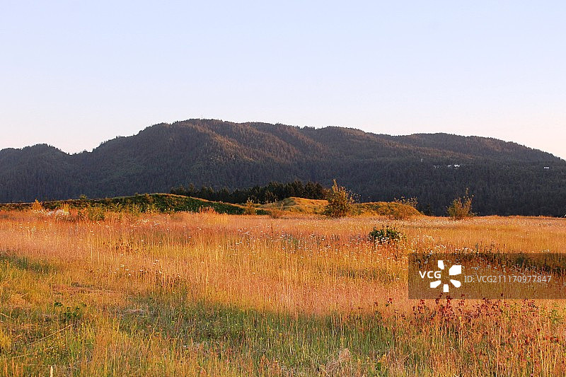 伊萨夸高地图片素材