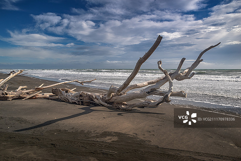 浮木IV图片素材