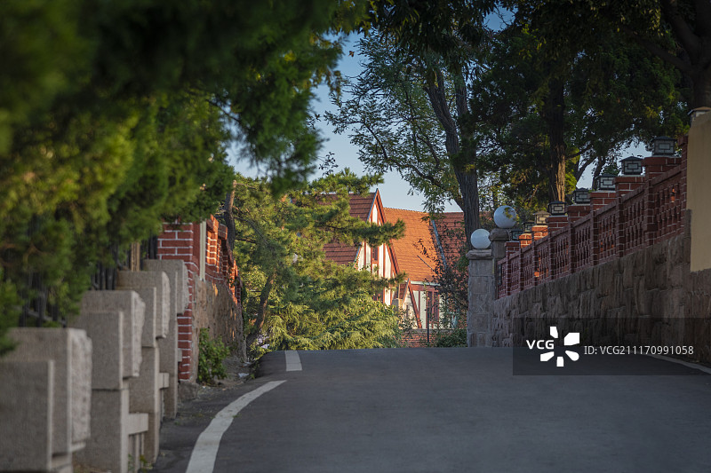 青岛八大关的早晨图片素材