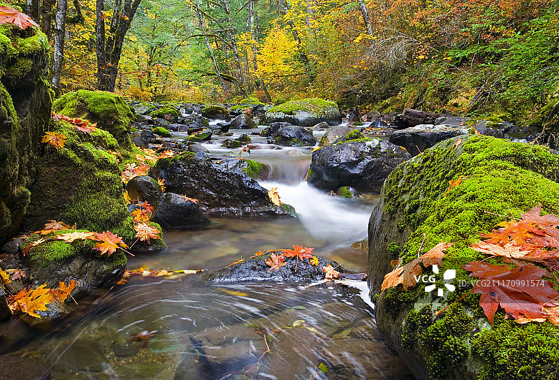 秋日漩涡图片素材