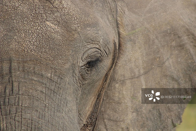 穆勒内勒芬特1图片素材