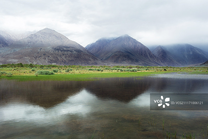 努布拉山谷的自然景观图片素材