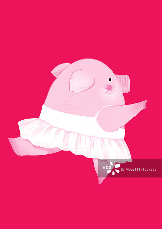 背景分离动物系列组图共3000多幅-跳舞的猪图片素材