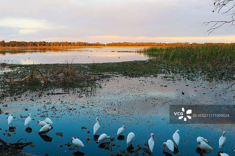 最后的光图片素材