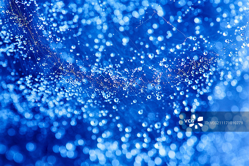抽象蓝色散景纹理背景，水滴在蜘蛛网上图片素材
