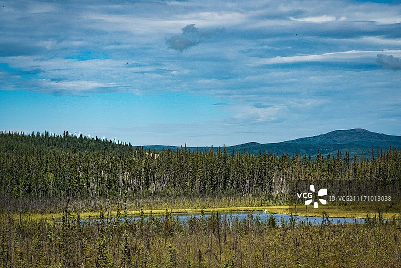 阿拉斯加的夏天图片素材
