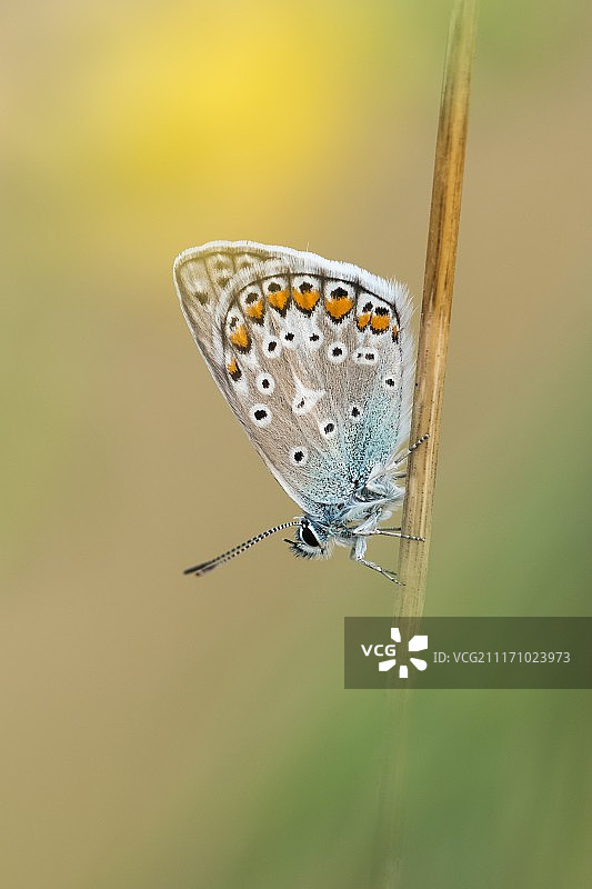 上下颠倒的图片素材