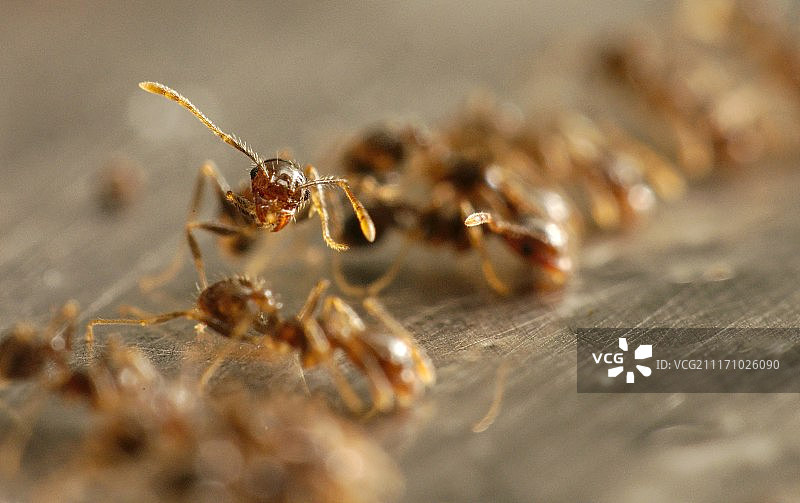 向外看图片素材